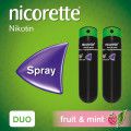 NICORETTE Fruit & Mint Spray 1 mg/Sprühstoß